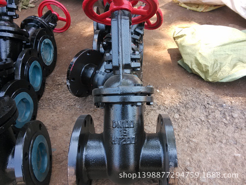 DN100重型双闸板闸阀6